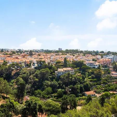 Mountain View One Bedroom 1 Extra In דירה